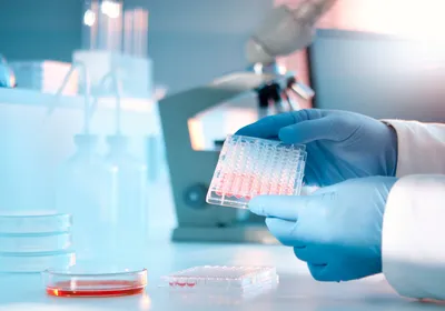 A scientist examining a microtiter plate